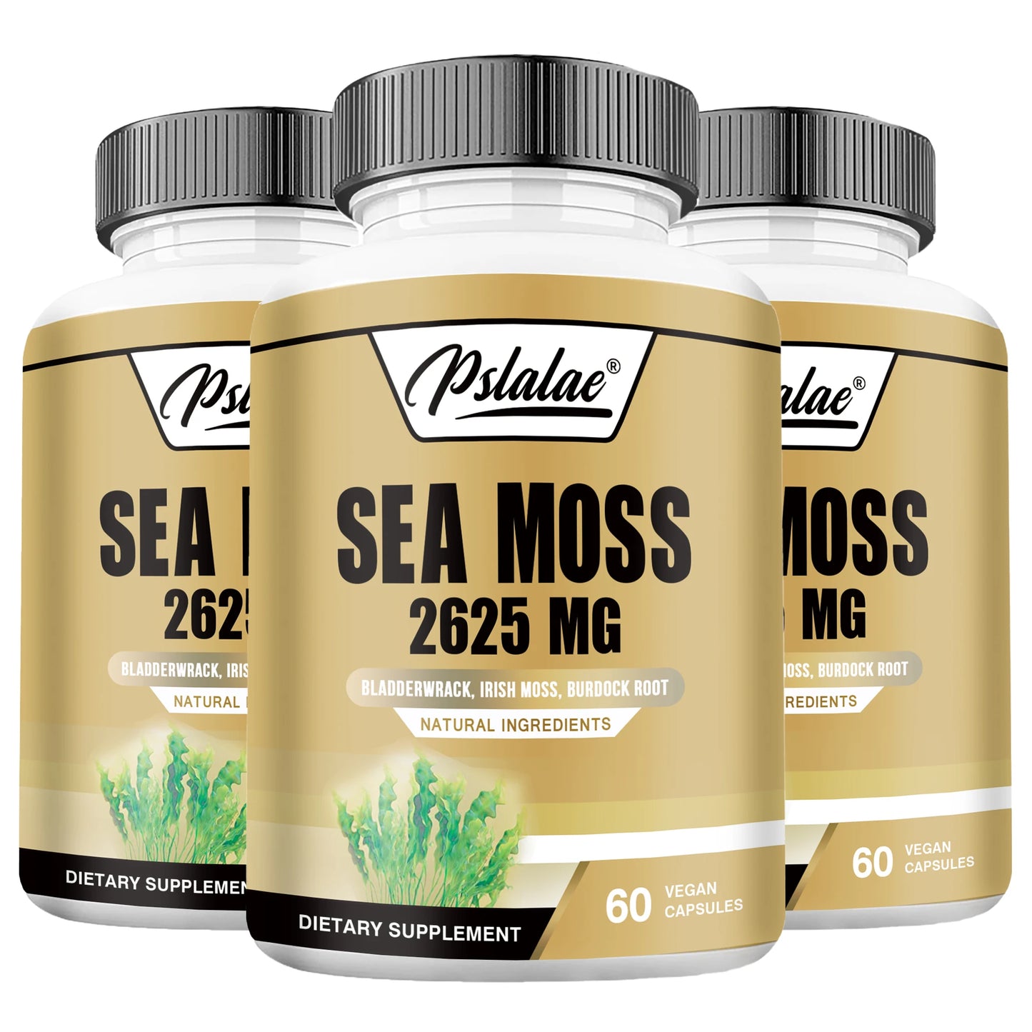 Sea Moss - Energy Nutrition for Men and Women, Supports Immunity, Muscle Mass Endurance, Increases Vitality - 60 Capsules