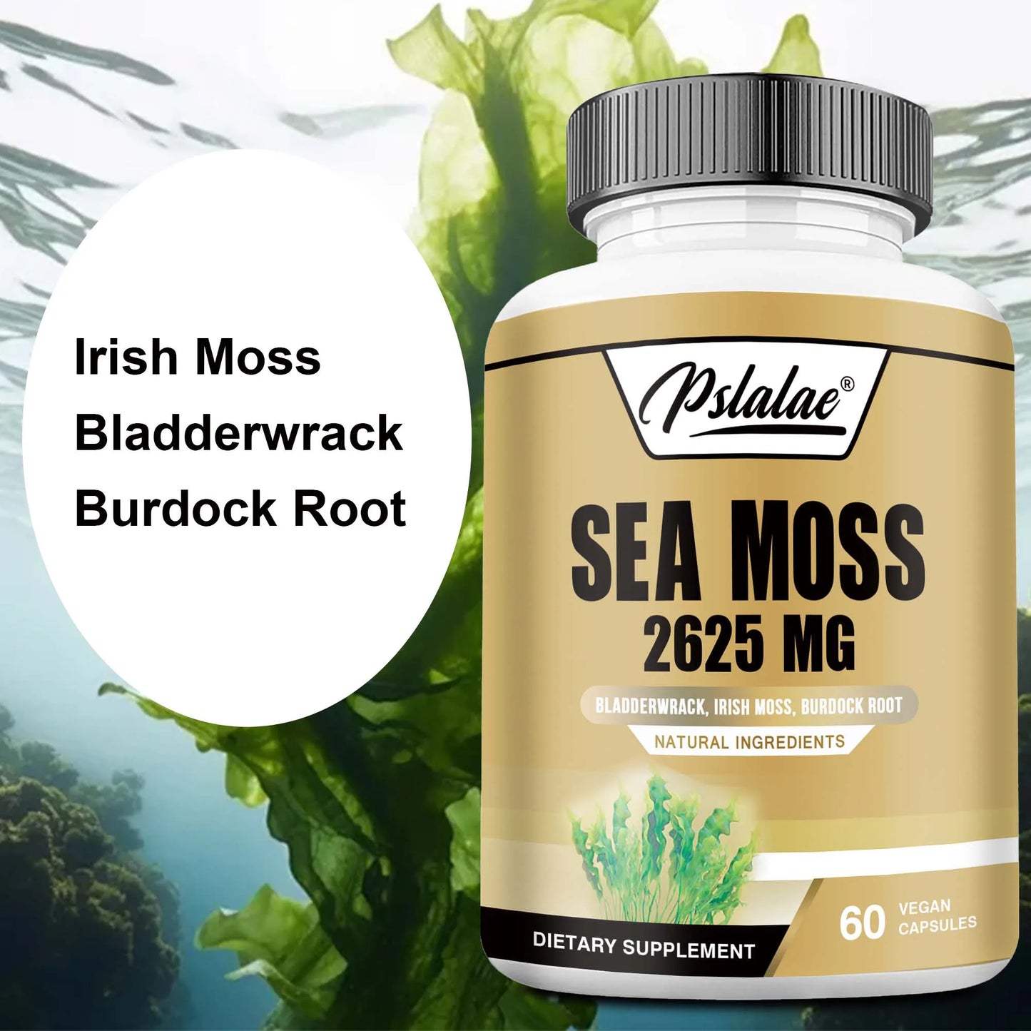 Sea Moss - Energy Nutrition for Men and Women, Supports Immunity, Muscle Mass Endurance, Increases Vitality - 60 Capsules