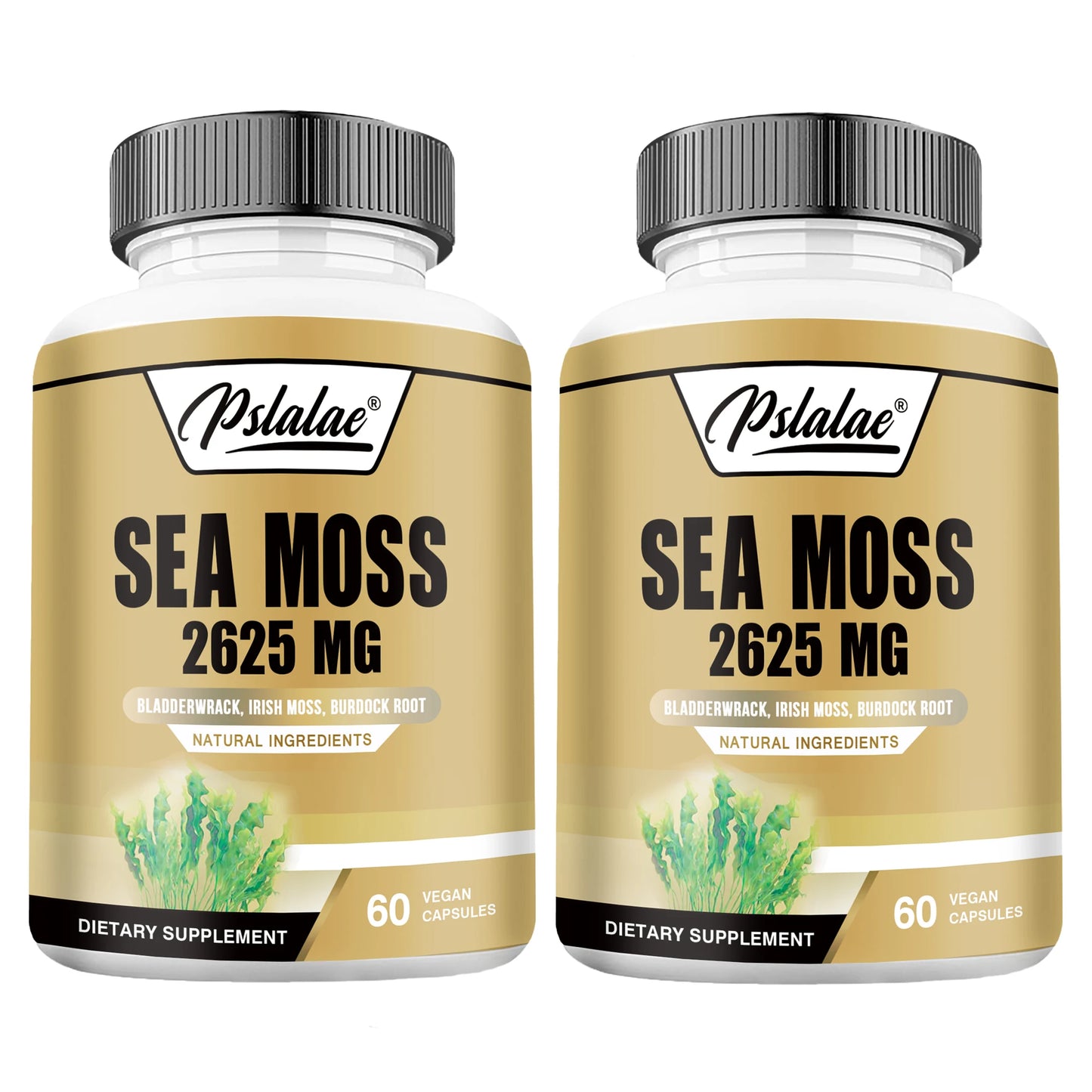 Sea Moss - Energy Nutrition for Men and Women, Supports Immunity, Muscle Mass Endurance, Increases Vitality - 60 Capsules